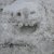 Bilder 2025 - Wettbewerb Schneemann